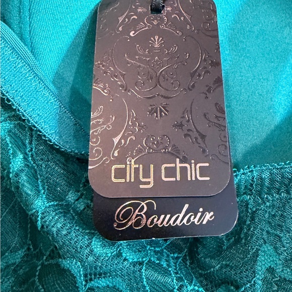 Elegant Emerald green Lace Trim Bra Ladies Size 42C NEW - Picture 10 of 10